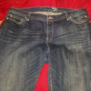 Seven Jean's plus size